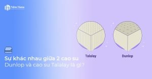 Phân biệt cao su Dunlop và cao su Talalay