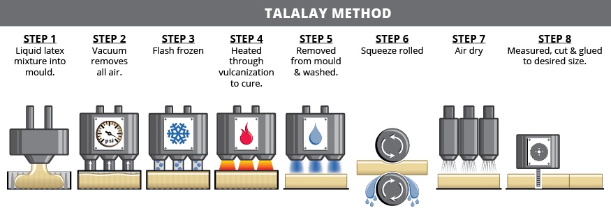 Quy trình sản xuất cao su Talalay