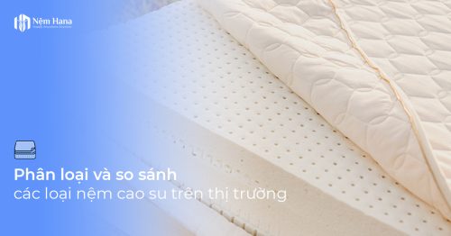 So sánh các loại nệm cao su