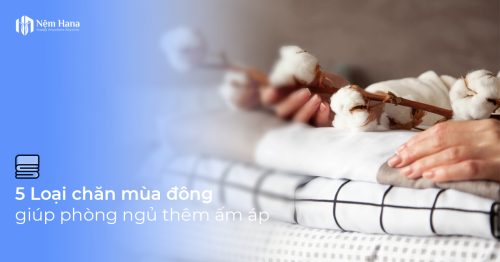 Các loại chăn mùa đông