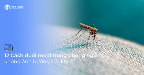Cách đuổi muỗi trong phòng ngủ