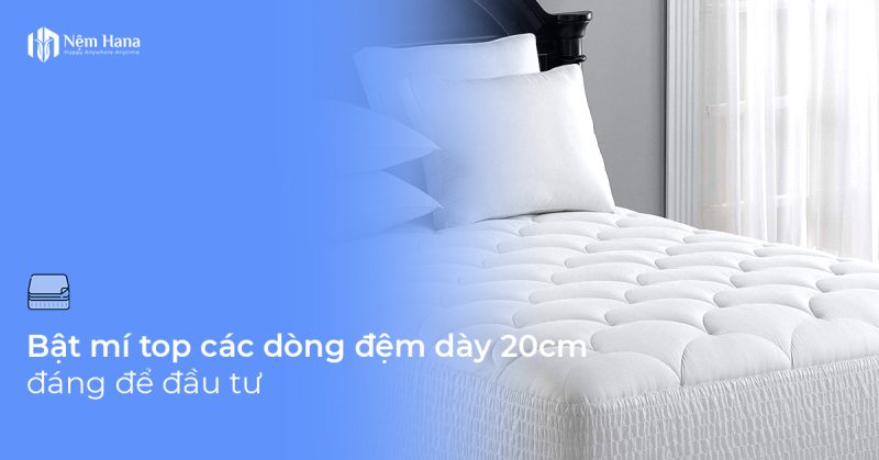 Đệm dày 20cm