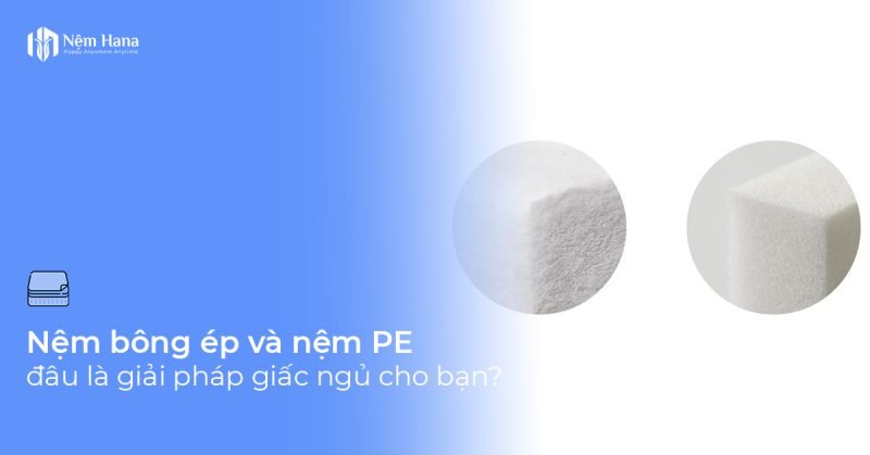 Nệm bông ép và nệm PE