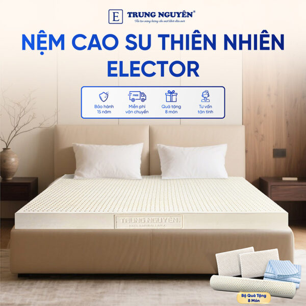 Nệm Cao Su Thiên Nhiên Trung Nguyên Classic