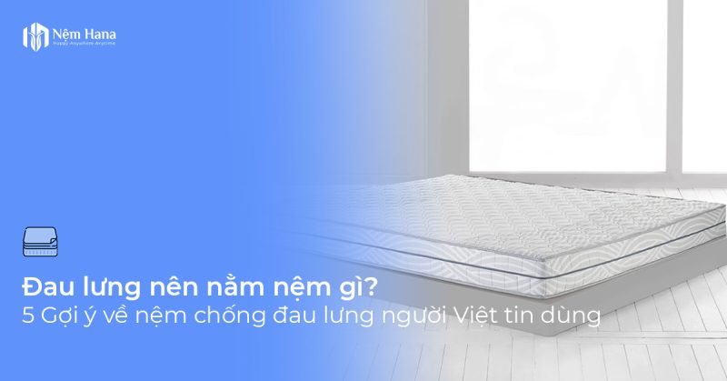 Nệm chống đau lưng