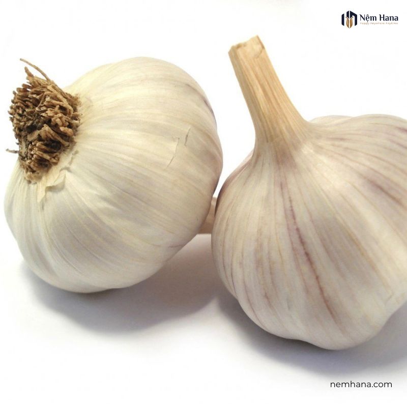 Tỏi giúp đuổi côn trùng
