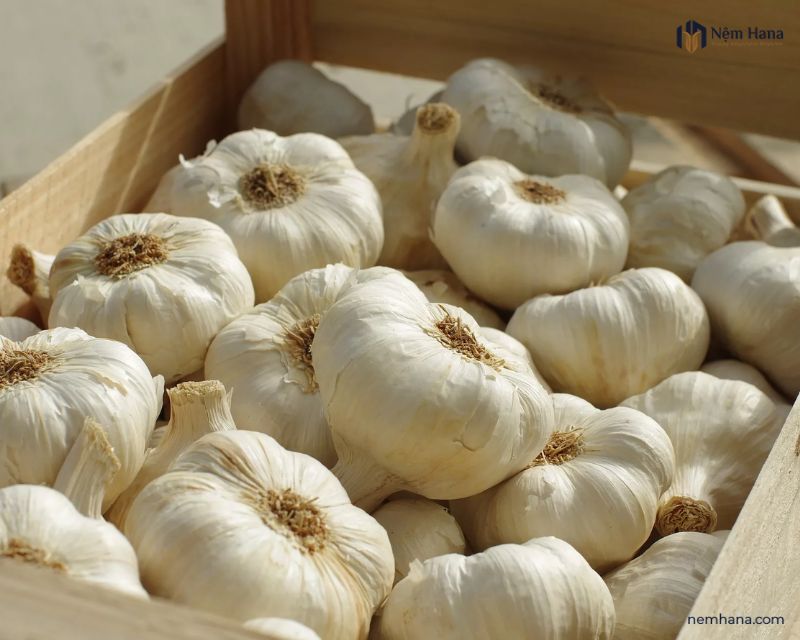 Tỏi là liều thuốc chữa bệnh nổi bật