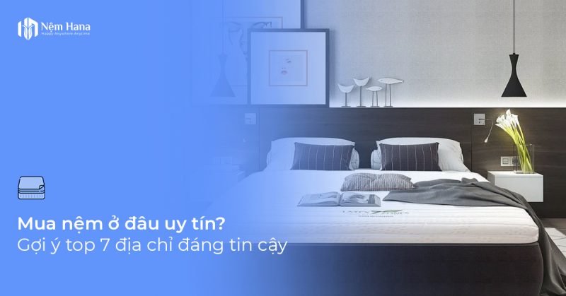 Mua nệm ơ đâu uy tín
