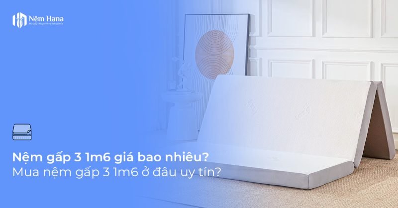 Nệm gấp 3 1m6