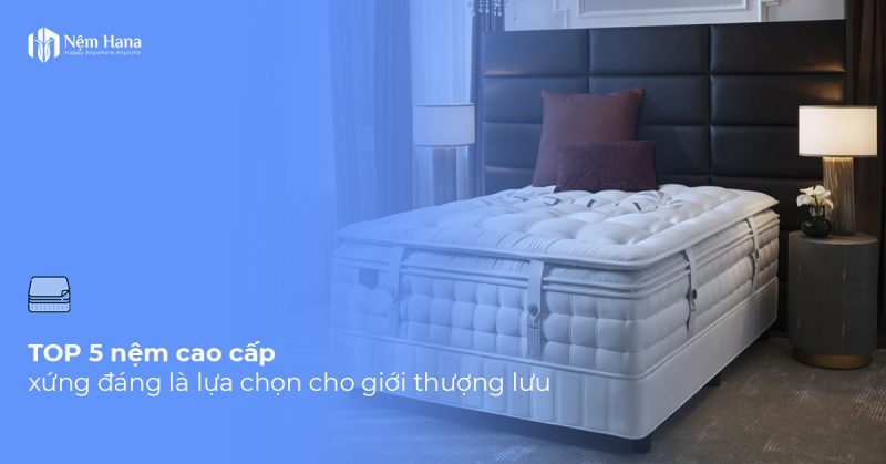 Nệm cao cấp
