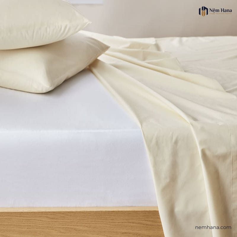 drap chống thấm cotton