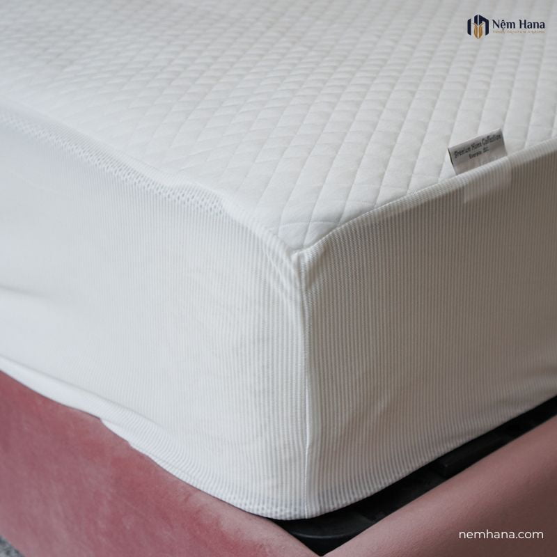 Ga giường chống thấm