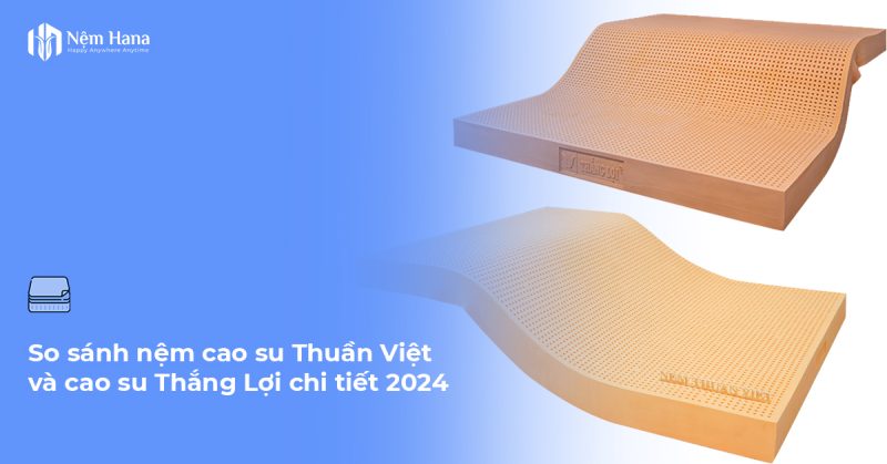 So sánh nệm cao su Thuần Việt và Thắng Lợi